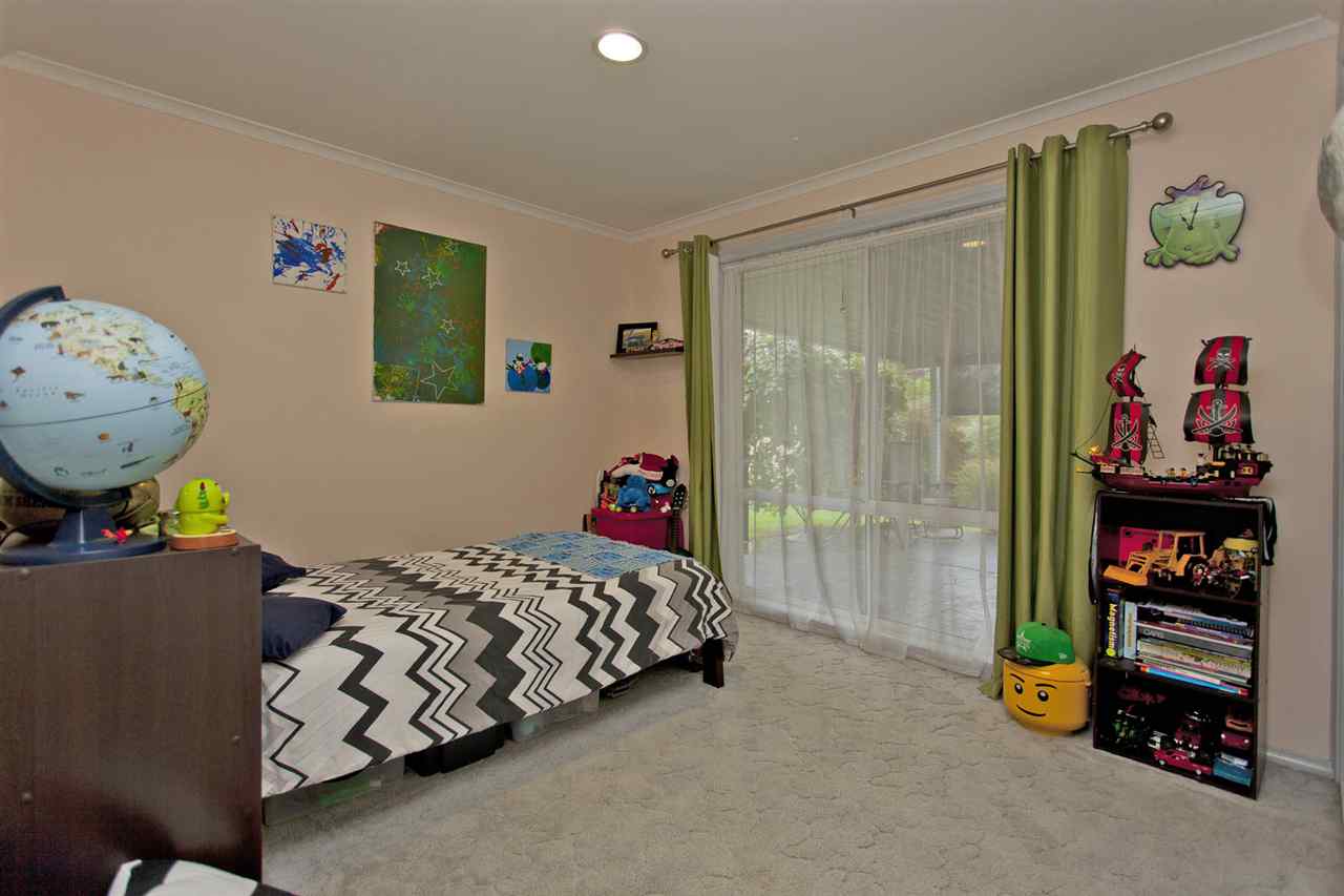 resized-2349823-edit11 kingfisher 7.JPG